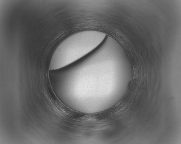 X0000076390648200610060905