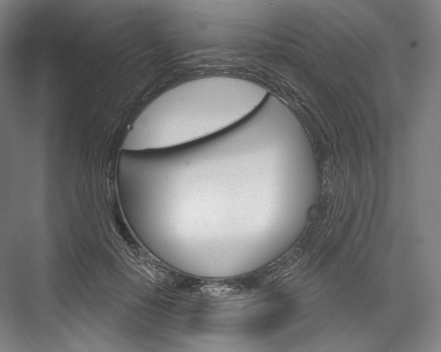 X0000076390650200610060905