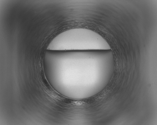 X0000076390654200610060905
