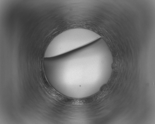 X0000076390656200610060905