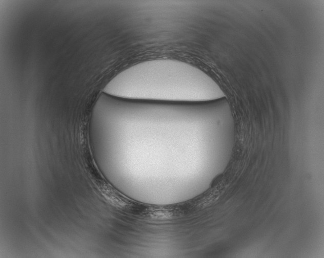X0000076390658200610060905