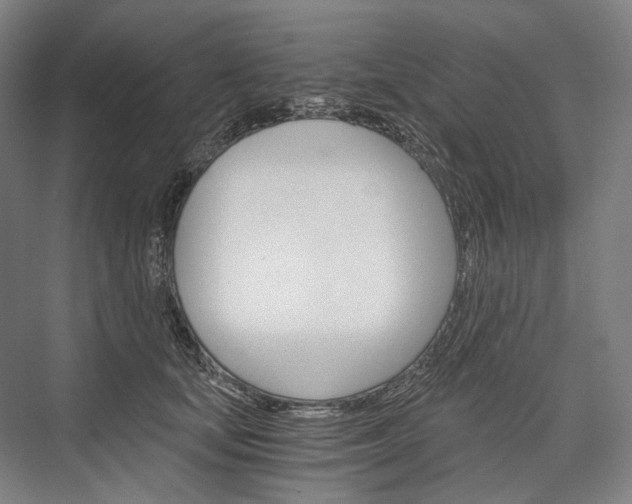 X0000076390659200610060905