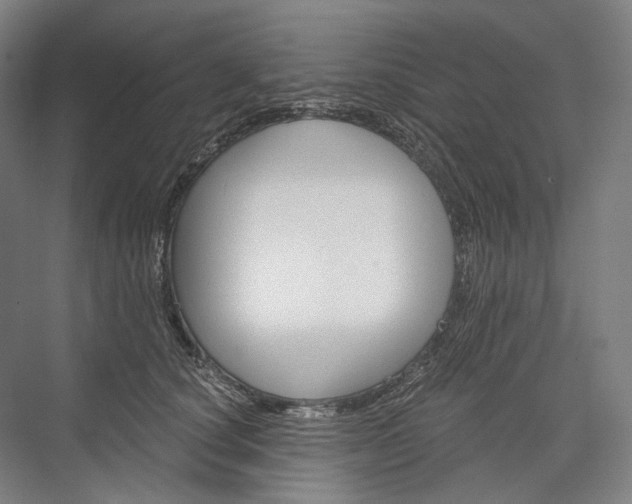 X0000076390660200610060905