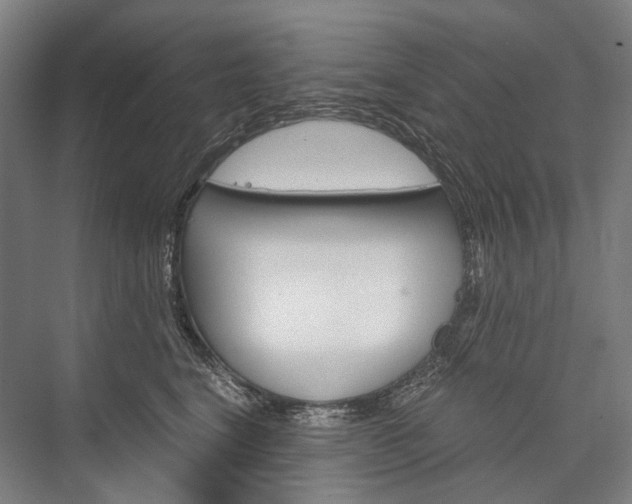 X0000076390664200610060905