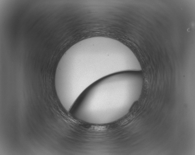 X0000076390665200610060905