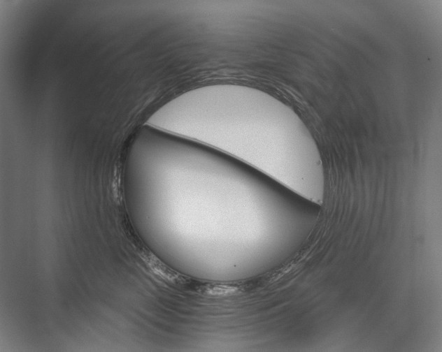 X0000076390669200610060905