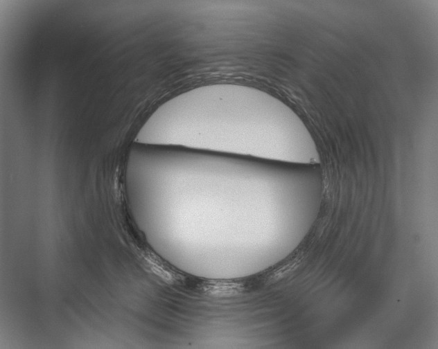 X0000076390670200610060905