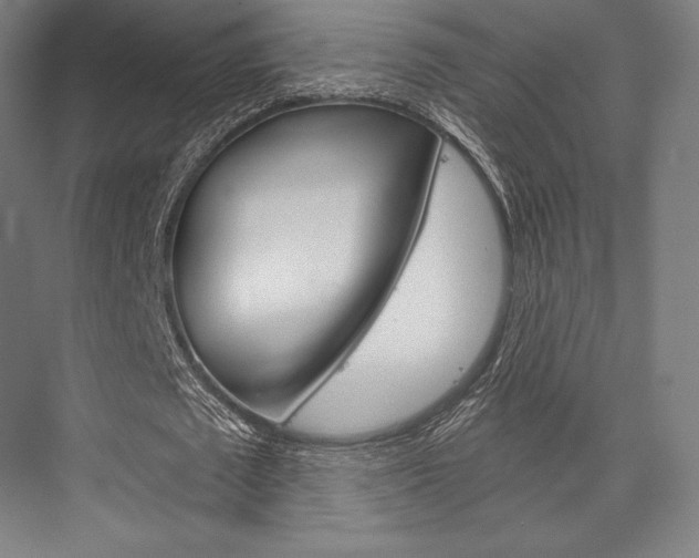 X0000076390673200610060904