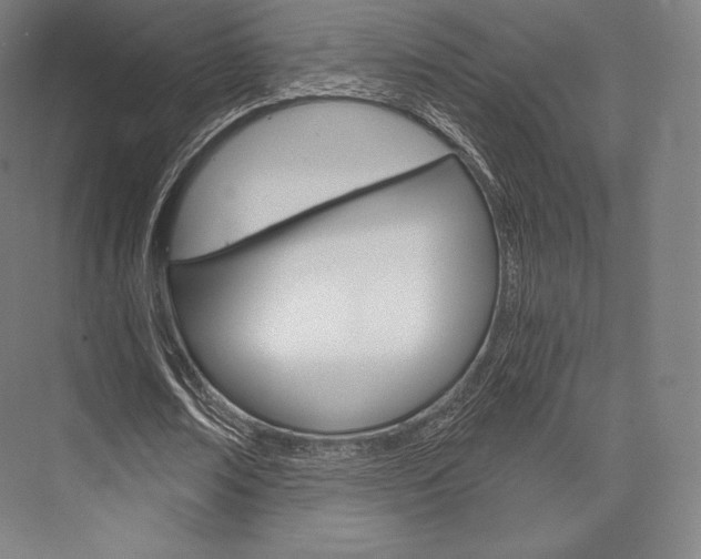 X0000076390674200610060904