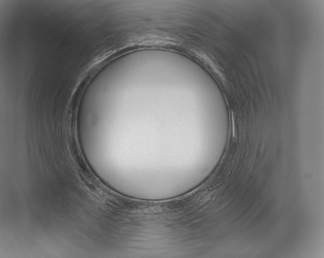 X0000076390675200610060904