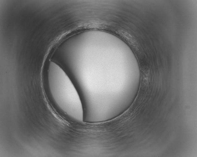 X0000076390678200610060904