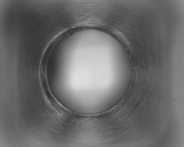 X0000076390680200610060904