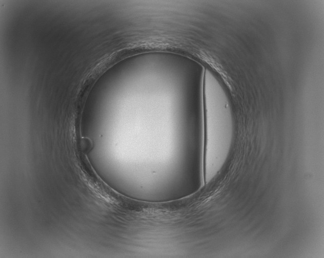 X0000076390681200610060904