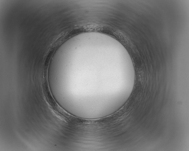 X0000076390690200610060904