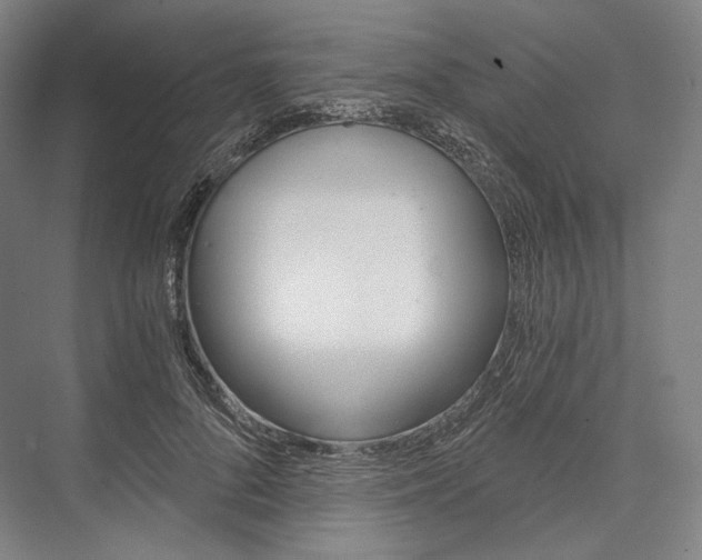 X0000076390696200610060904