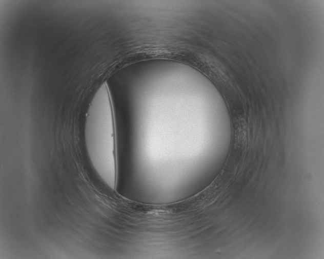 X0000076390700200610060904