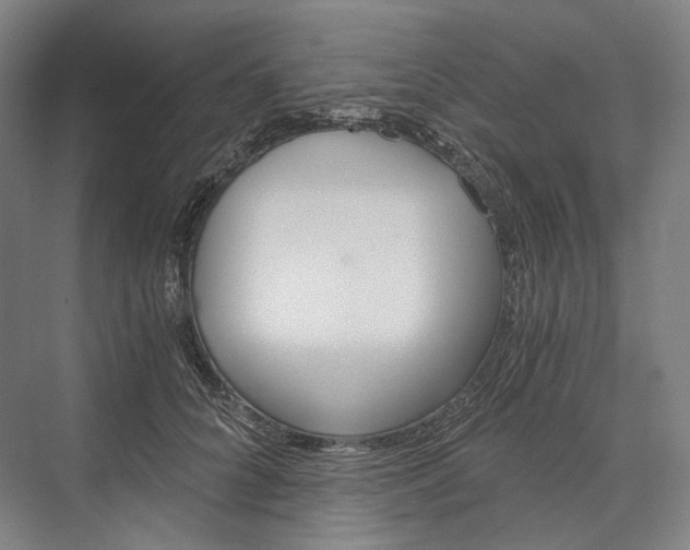 X0000076390704200610060904