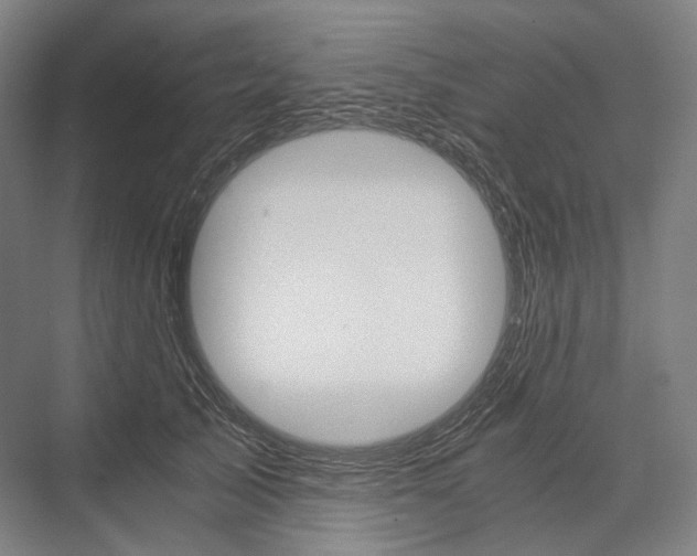 X0000076390705200610060904