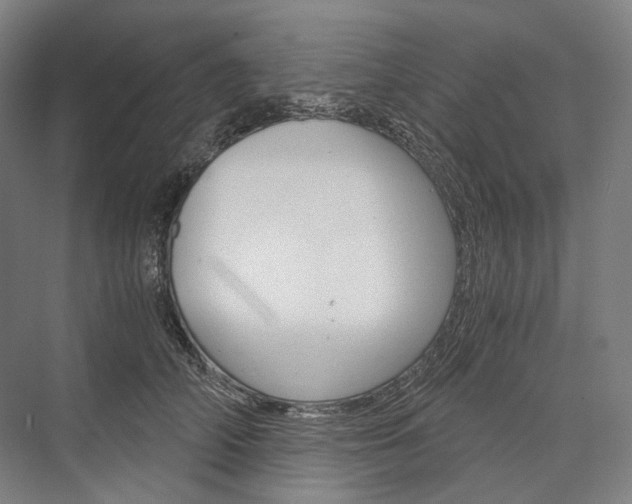 X0000076390706200610060904