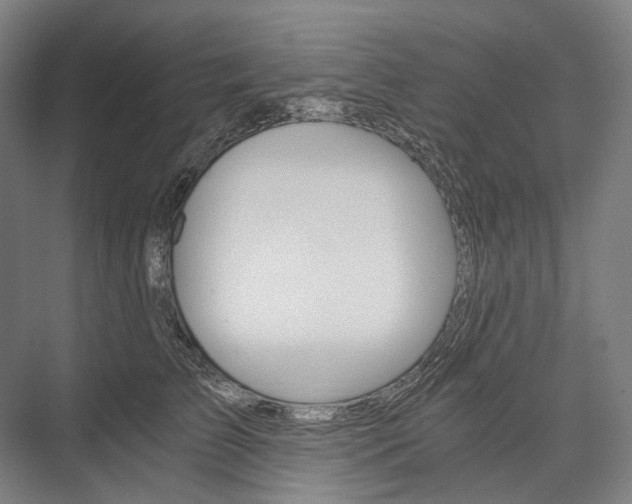 X0000076390709200610060904