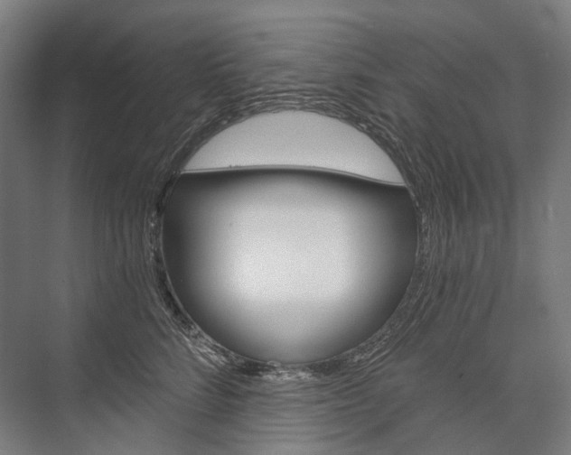 X0000076390712200610060904