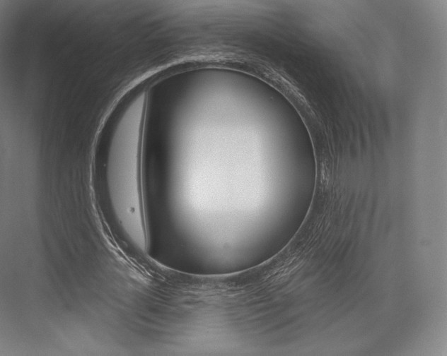 X0000076390724200610060903