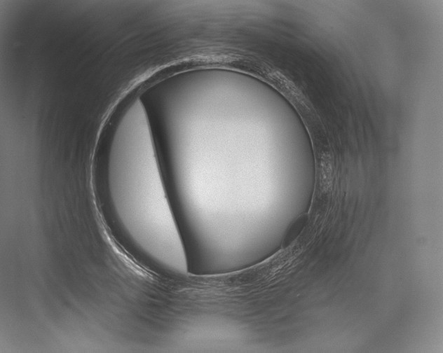 X0000076390726200610060903