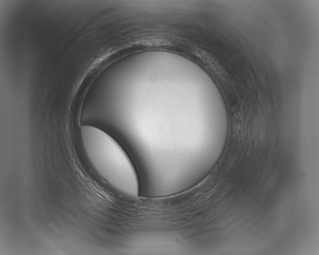 X0000076390727200610060903