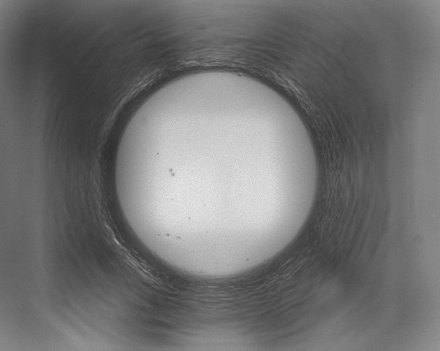 X0000076390735200610060903