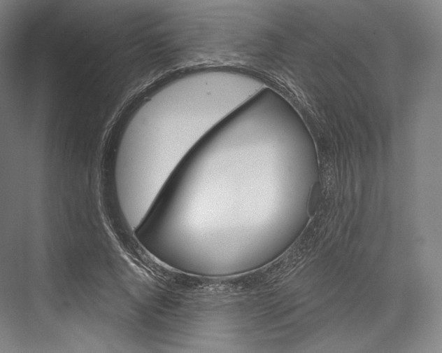 X0000076390736200610060903