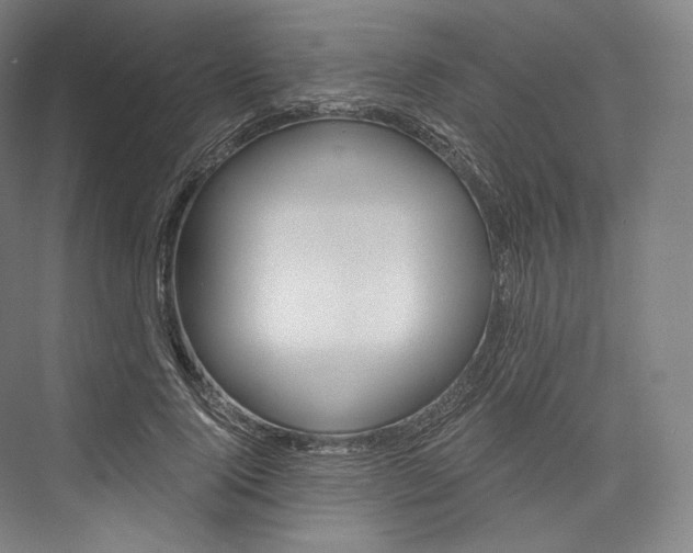 X0000076390740200610060903