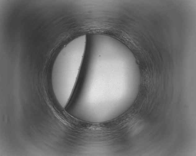 X0000076390742200610060903
