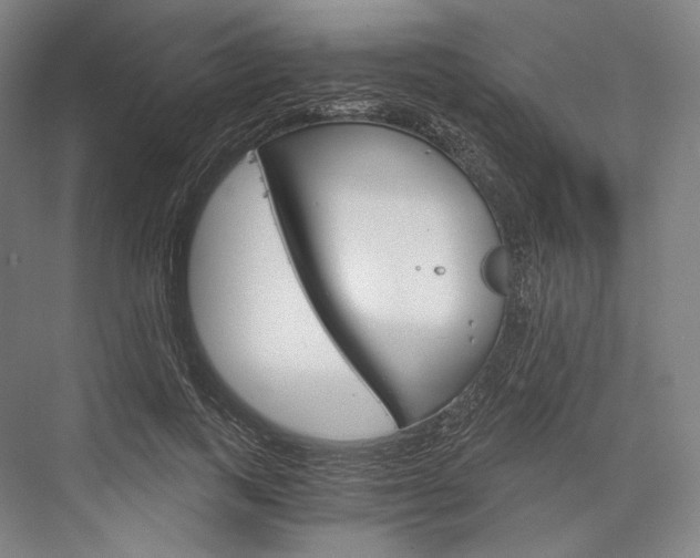 X0000076390743200610060903