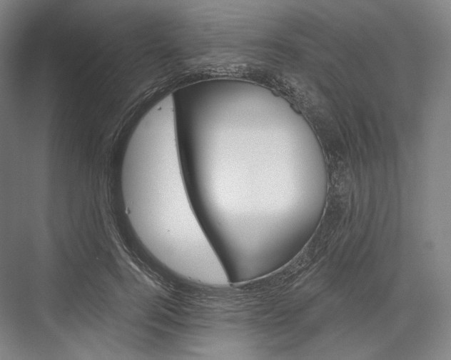 X0000076390744200610060903