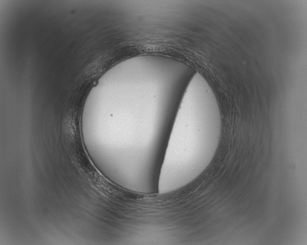 X0000076390746200610060903
