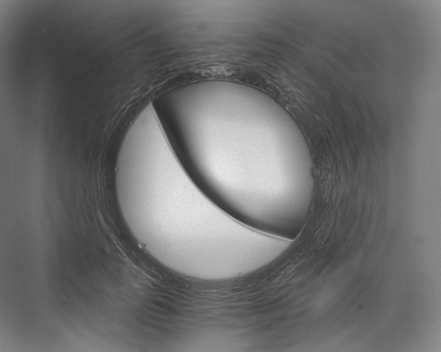 X0000076390747200610060903
