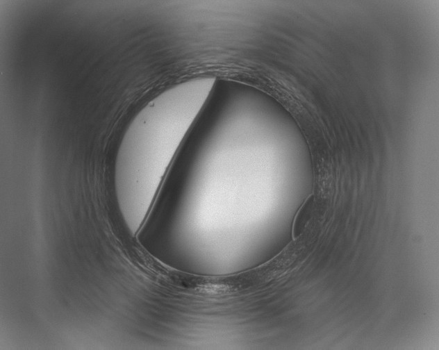 X0000076390748200610060903
