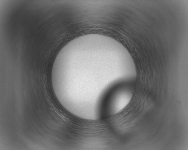 X0000076390750200610060903