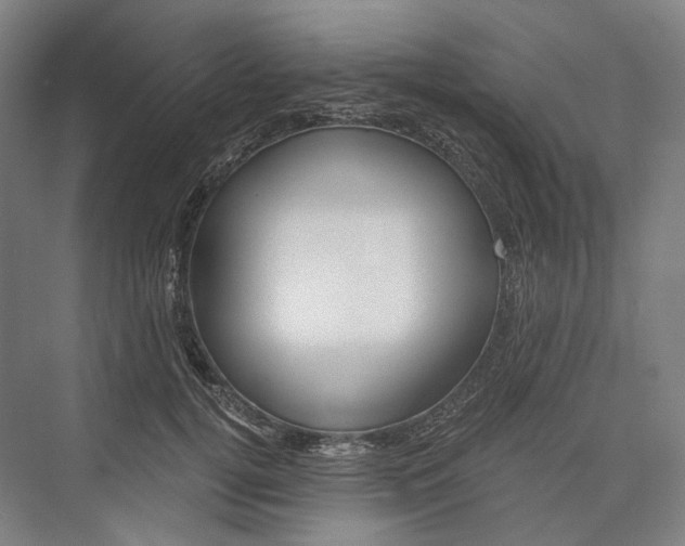 X0000076390752200610060903