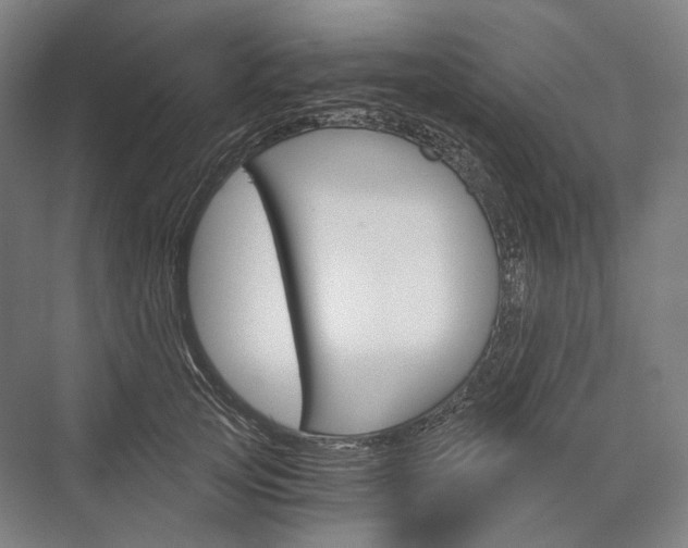 X0000076390753200610060903