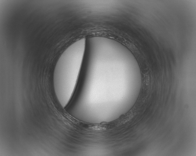 X0000076390754200610060903