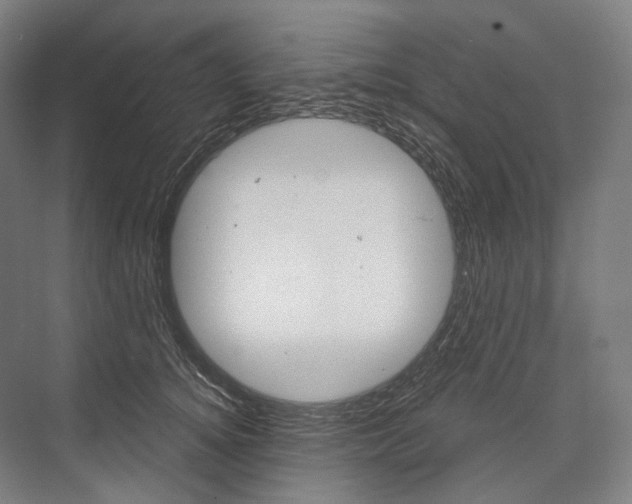 X0000076390756200610060903