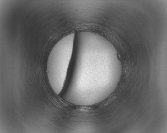 X0000076390758200610060903