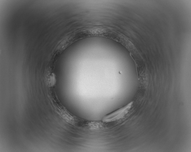X0000076390762200610060903