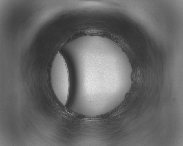 X0000076390763200610060903