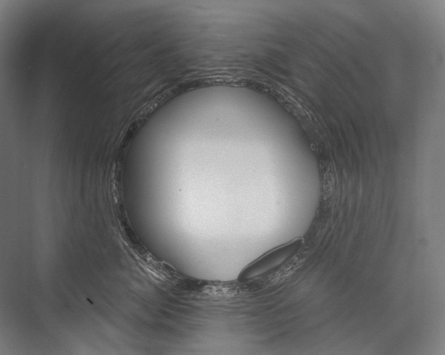 X0000076390764200610060903