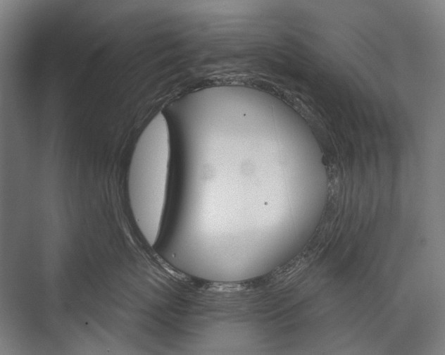 X0000076390767200610060903
