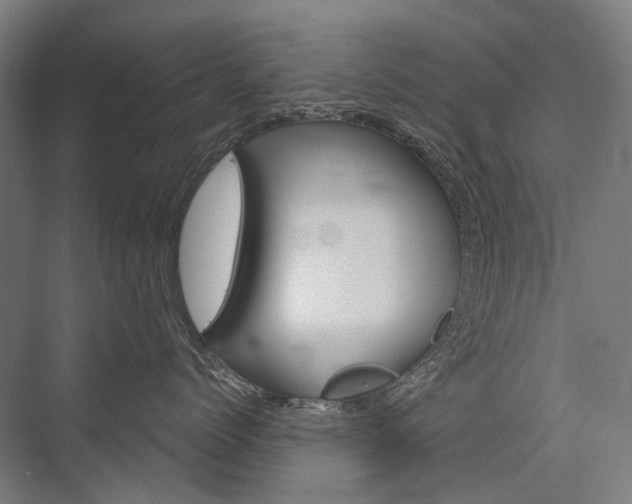 X0000076390768200610060903