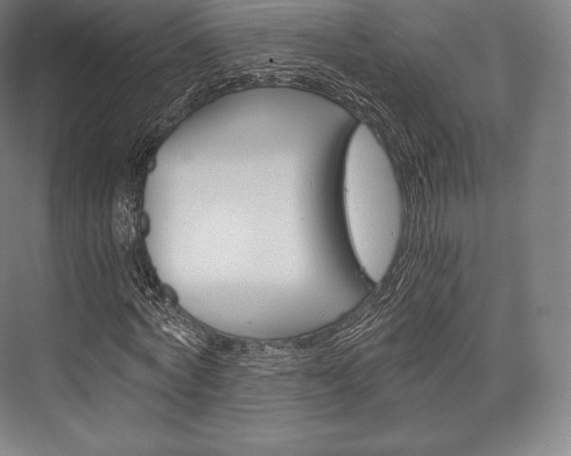 X0000076390772200610060903