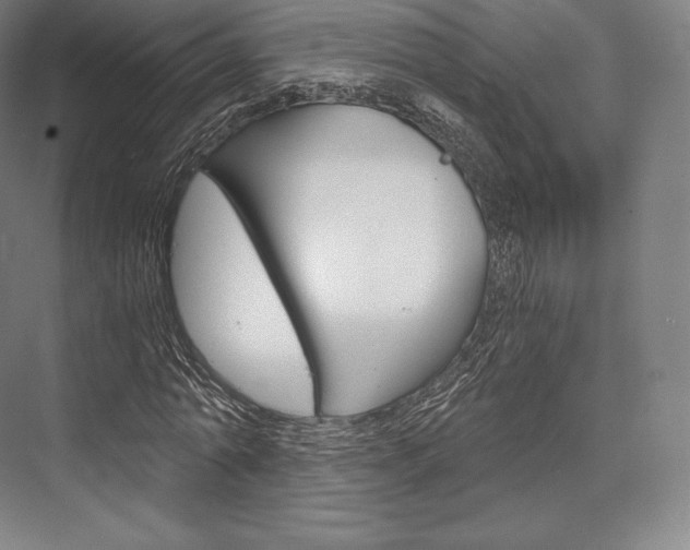 X0000076390774200610060903